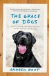 The Grace of Dogs - Bild 1