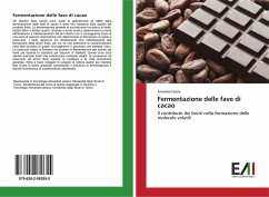 Fermentazione delle fave di cacao - Fassio, Annalisa
