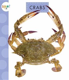 Crabs - Schuh, Mari C