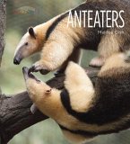 Anteaters