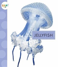 Jellyfish - Schuh, Mari C