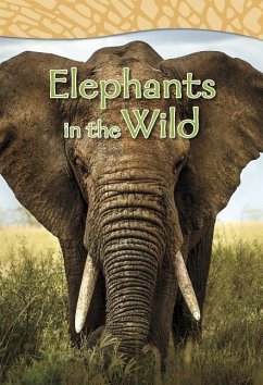 Elephants in the Wild - Robinson, Claire