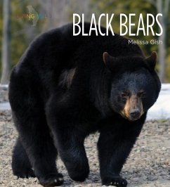 Black Bears - Gish, Melissa
