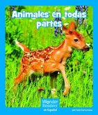 Animales En Todas Partes