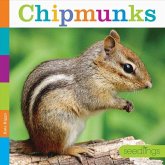 Chipmunks