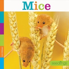 Mice - Dittmer, Lori