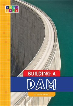 Building a Dam - Smibert, Angie
