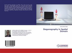 Steganography In Spatial Domain