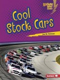 Cool Stock Cars