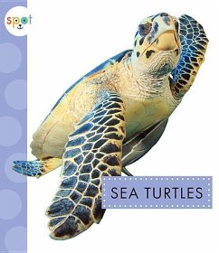 Sea Turtles - Schuh, Mari C