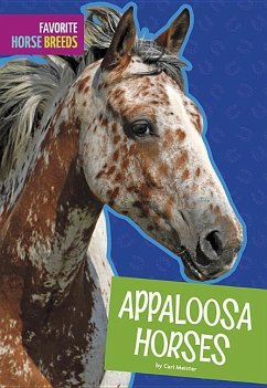 Appaloosa Horses - Meister, Cari