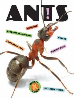 Ants - Gish, Ashley