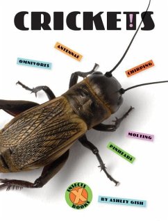 Crickets - Gish, Ashley