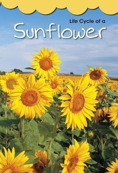 Life Cycle of a Sunflower - Royston, Angela