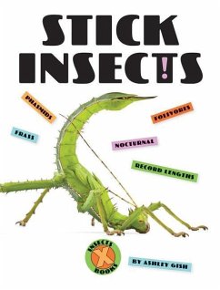 Stick Insects - Gish, Ashley