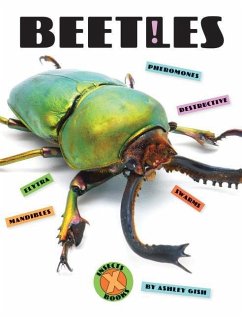 Beetles - Gish, Ashley