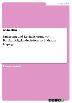 Sanierung und Revitalisierung von Bergbaufolgelandschaften im Südraum Leipzig (eBook, ePUB)