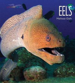 Eels - Gish, Melissa