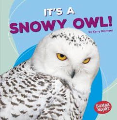 It's a Snowy Owl! - Dinmont, Kerry