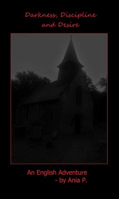 Discipline Darkness and Disgrace (eBook, ePUB) - P., Ania