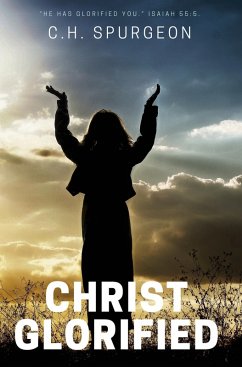 Cover Christ Glorified (eBook, ePUB)