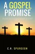 A Gospel Promisse (eBook, ePUB) - Bild 1