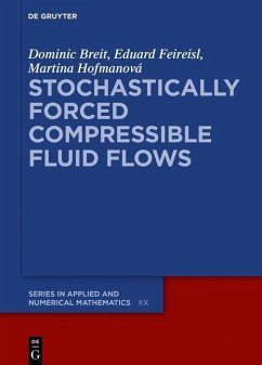 Stochastically Forced Compressible Fluid Flows (eBook, PDF) - Breit, Dominic; Feireisl, Eduard; Hofmanová, Martina