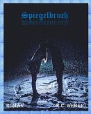 Spiegelbruch (eBook, ePUB)