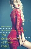 The Bimbofication of Freda Frigid (eBook, PDF)