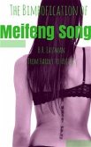 The Bimbofication of Meifeng Song (eBook, PDF)