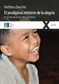 El prodigioso misterio de la alegría (eBook, ePUB)