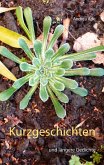 Kurzgeschichten (eBook, ePUB)