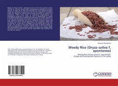 Weedy Rice (Oryza sativa f. spontanea)