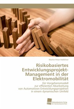 Risikobasiertes Entwicklungsprojekt-Management in der Elektromobilität - Hafellner, Martin Peter
