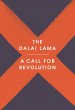 A Call for Revolution - Bild 1
