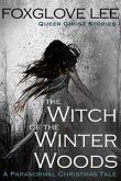 The Witch of the Winter Woods (eBook, ePUB)