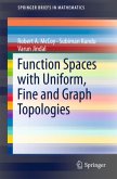 Function Spaces with Uniform, Fine and Graph Topologies