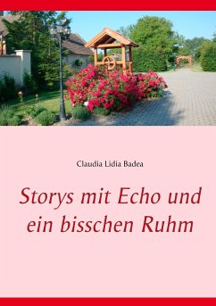 Storys mit Echo und ein bisschen Ruhm - Badea, Claudia Lidia