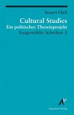 Cultural Studies - Ein politisches Theorieprojekt (eBook, ePUB)