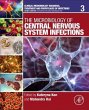 The Microbiology of Central Nervous... - Bild 1