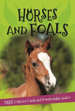 Cover It's all about... Horses and Foals