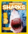 Everything: Sharks - Bild 1