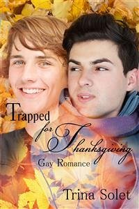Trapped for Thanksgiving (Gay Romance) (eBook, ePUB) - Solet, Trina