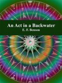 An Act in a Backwater (eBook, ePUB)