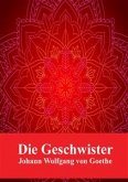 Die Geschwister (eBook, PDF)