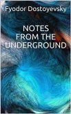 Notes from the Underground (eBook, ePUB)