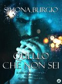 Quello che non sei (eBook, ePUB)