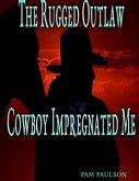 The Rugged Outlaw Cowboy Impregnated Me (eBook, ePUB)