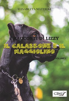 Il calabrone e il Maggiolino (eBook, ePUB) - Mattioli, Elisabetta