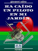 Ha Caído Un Piloto En Mi Jardín (eBook, ePUB)